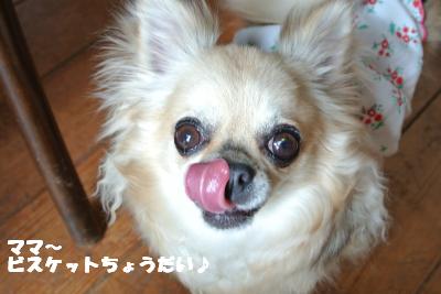 20130515+043_convert_20130520100335.jpg