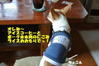 20130515+044_convert_20130520100256.jpg