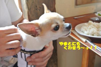 20130515+047_convert_20130520100554.jpg