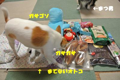 20130515+050_convert_20130516112123.jpg