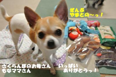 20130515+051_convert_20130516112040.jpg