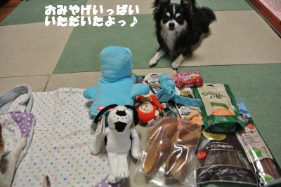 20130515+052_convert_20130516112233.jpg
