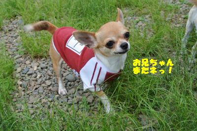 20130515+054_convert_20130520160626.jpg