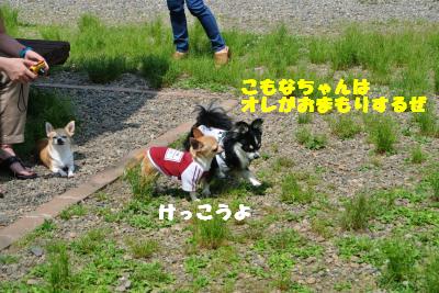 20130515+058_convert_20130520160800.jpg