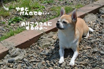 20130515+064_convert_20130520161509.jpg