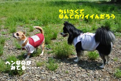 20130515+065_convert_20130520160911.jpg