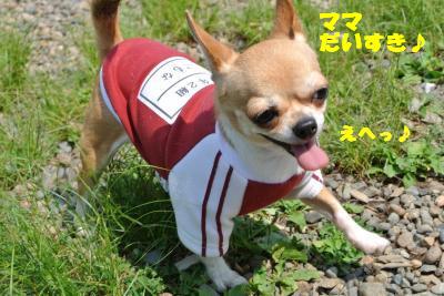 20130515+070_convert_20130516111543.jpg