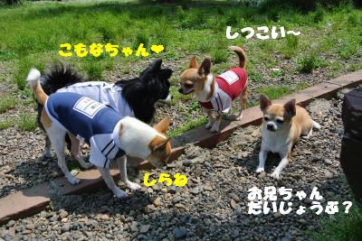 20130515+072_convert_20130520161025.jpg