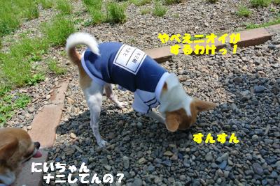 20130515+074_convert_20130517164323.jpg