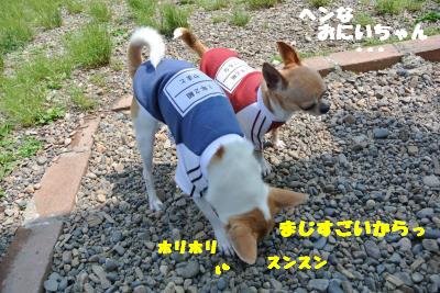 20130515+075_convert_20130517164356.jpg