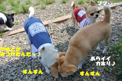 20130515+076_convert_20130517164449.jpg