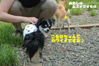 20130515+086_convert_20130520161326.jpg