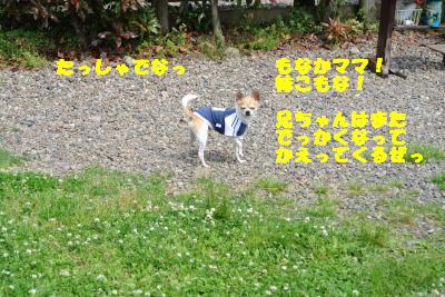20130515+089_convert_20130520161412.jpg