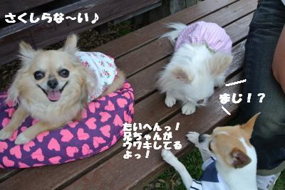20130515+091_convert_20130520161256.jpg