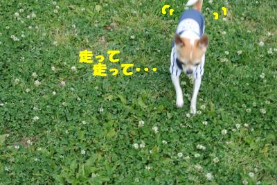 20130515+092_convert_20130516110810.jpg