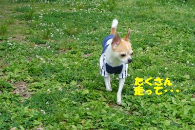 20130515+093_convert_20130516110840.jpg
