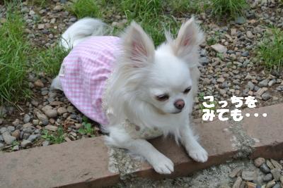 20130515+096_convert_20130516113116.jpg