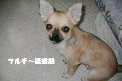 20130516+009_convert_20130516165305.jpg