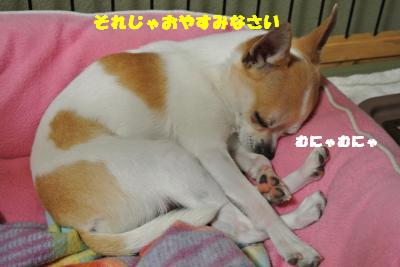 20130516+010_convert_20130603131125.jpg