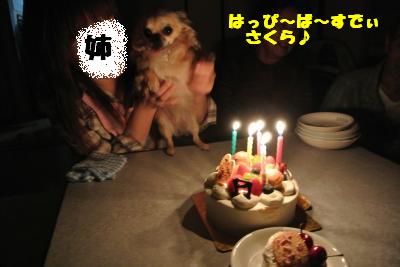 20130520+006_convert_20130521161739.jpg