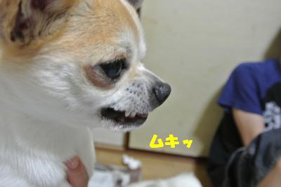 20130520+011_convert_20130521161928.jpg