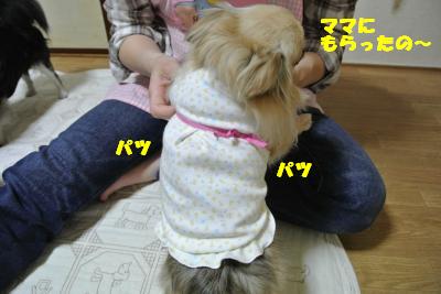 20130520+020_convert_20130521162059.jpg