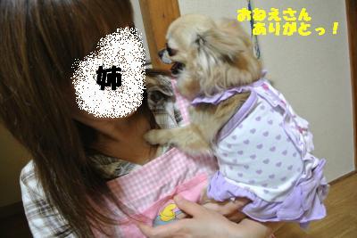 20130520+024_convert_20130521162214.jpg