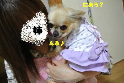 20130520+025_convert_20130521162142.jpg