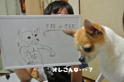20130520+035_convert_20130520101004.jpg