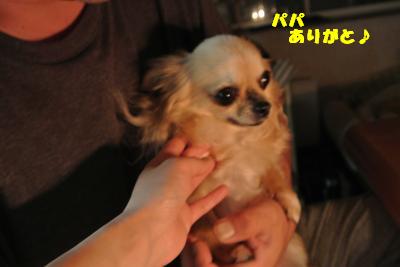 20130520+041_convert_20130522133334.jpg