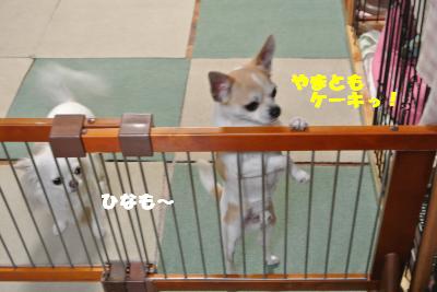 20130520+042_convert_20130521162556.jpg