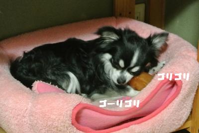 20130523+004_convert_20130523110839.jpg