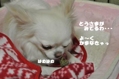 20130523+009_convert_20130523111423.jpg