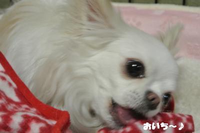 20130523+012_convert_20130523111501.jpg