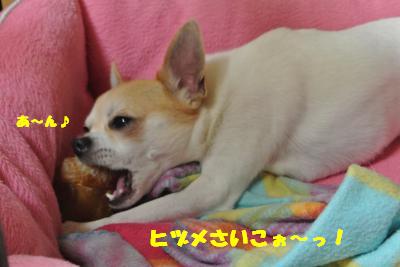20130523+014_convert_20130523111315.jpg