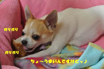 20130523+016_convert_20130523111211.jpg