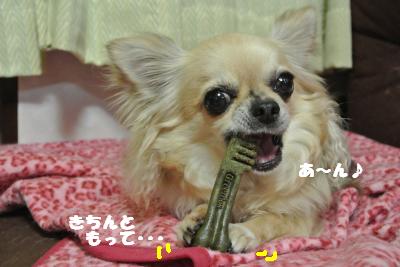 20130523+022_convert_20130523111536.jpg