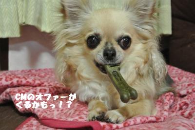 20130523+023_convert_20130523111631.jpg