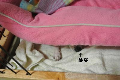 20130524+001_convert_20130524113145.jpg