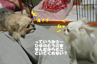 20130524+002_convert_20130524113432.jpg