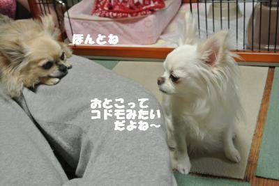 20130524+004_convert_20130524113456.jpg