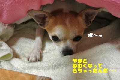 20130524+005_convert_20130524113242.jpg