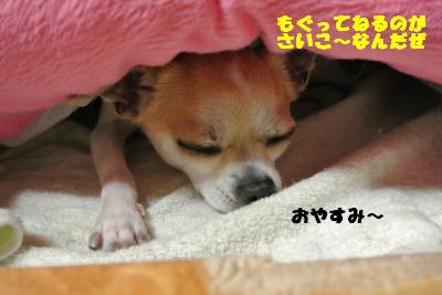 20130524+006_convert_20130524113310.jpg