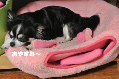 20130524+008_convert_20130524113358.jpg