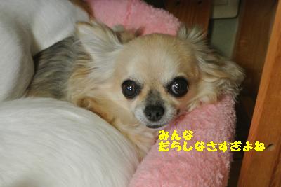 20130525+002_convert_20130525084112.jpg