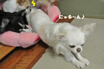 20130525+004_convert_20130525084214.jpg