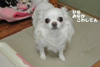 20130525+005_convert_20130525084244.jpg
