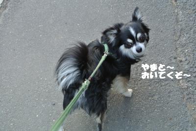 20130527+002_convert_20130527105403.jpg