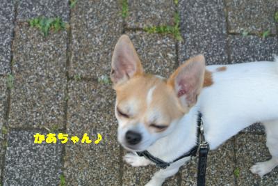 20130527+004_convert_20130527105504.jpg