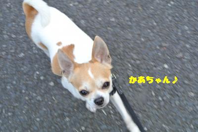 20130527+011_convert_20130527105554.jpg